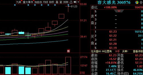 受益光刻胶概念,容大感光5天4板