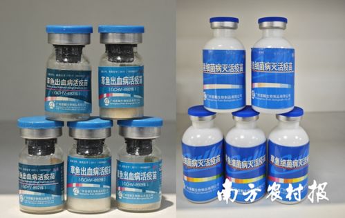 从解决 吃鱼难 到助力 养好鱼 ,推动中国渔业可持续发展丨记珠江所创立70年