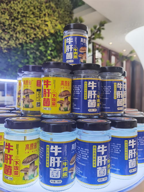 全国野生菌厨艺争霸赛今日在云南玉溪江川举行
