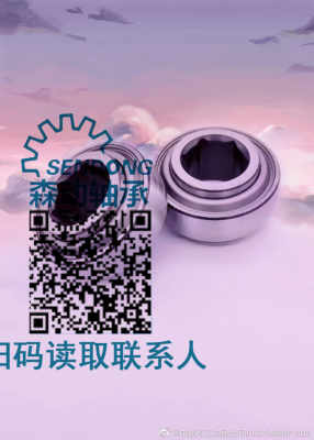 轴承批发bj2020.02汽车轴承 轴承批发