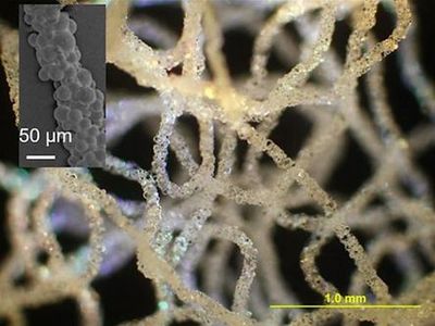 科学家研发出用于生物医学的3D打印硅胶技术