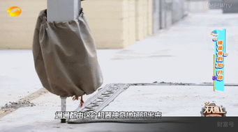 苏州火了 3d打印的房子真的来了,三天就能建一套