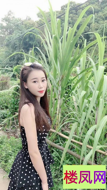 043821g1bponb1tt7nz5bb.jpg