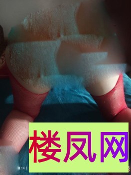 025002rmdymynd1dlnnlvn.jpg
