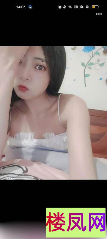 005001x53fa53im0v6dfd9.jpg