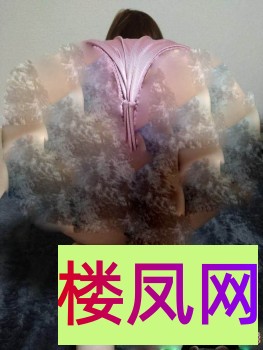 025004ny455hh2z6qqqq1q.jpg
