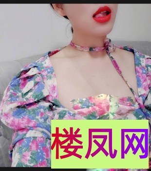 180502kdogsmd1sd1mbitm.jpeg