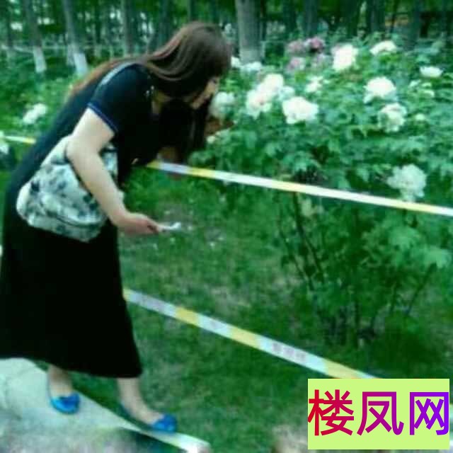 043503mlhq6b2a7s7ajzzq.jpg